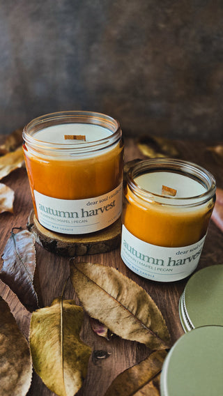 Autumn Harvest