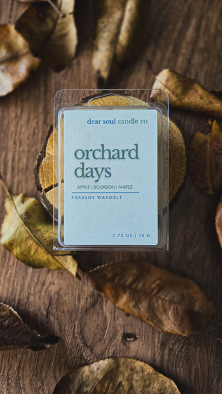 A packaged wax melt labeled "orchard days" by Dear Soul Candle Co. sits on a rustic wooden surface surrounded by dried autumn leaves.