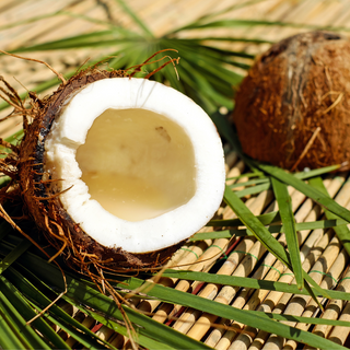 Coconut